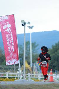 BIB: 
                            <button type="button" onclick="openModal(27853106)" class="btn btn-primary btn-sm float-right btn-popup" data-toggle="modal" data-target=".modal-high-quality">
                        <i class="fas fa-shopping-cart"></i> Add to Cart
                    </button>
                                            <button type="button" onclick="isThisMe(27853106, true)" class="btn btn-success btn-sm float-right btn-popup btn-isme hidden" data-toggle="tooltip" data-placement="bottom" title="นี่คือรูปของคุณใช่ไหม คลิกที่นี่เพื่อเอาเข้าอัลบั้ม">
                        <i class="fas fa-plus"></i> Add to album
                    </button>
                    <button type="button" onclick="isThisMe(27853106, false)" class="btn btn-warning btn-sm float-right btn-popup btn-isnotme hidden">
                        <i class="fas fa-ban"></i> Remove from album
                    </button>